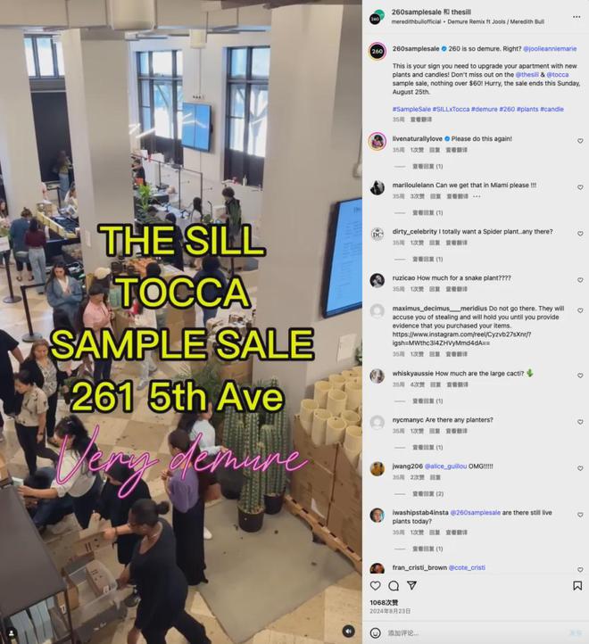 绿植品牌The Sill是怎么做到的？J9国际网站平均每天卖出500盆线上(图6)