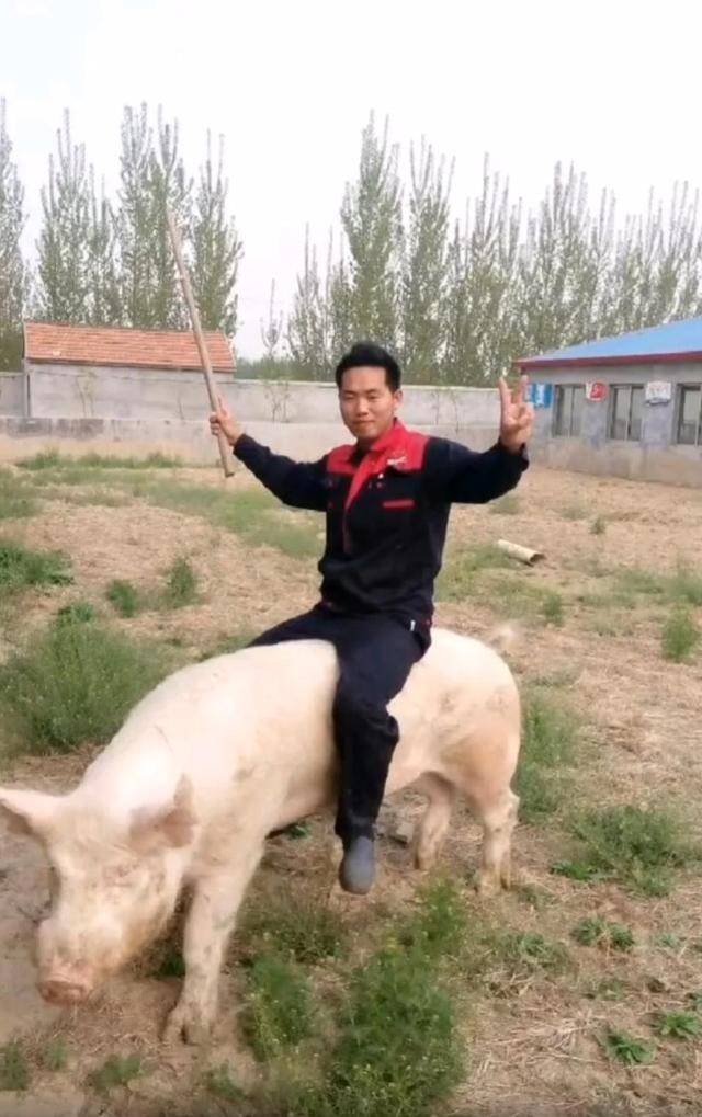 小伙跑到俄罗斯养猪8年还娶到00后大俄美女j9九游真人游戏第一平台和妻子离婚后河北(图5) 小伙跑到俄罗斯养猪8年还娶到00后大俄美女j9九游真人游戏第一平台和妻子离婚后河北(图5)