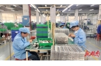 陵一企业用小小化妆刷“破圈” 湖南日报九